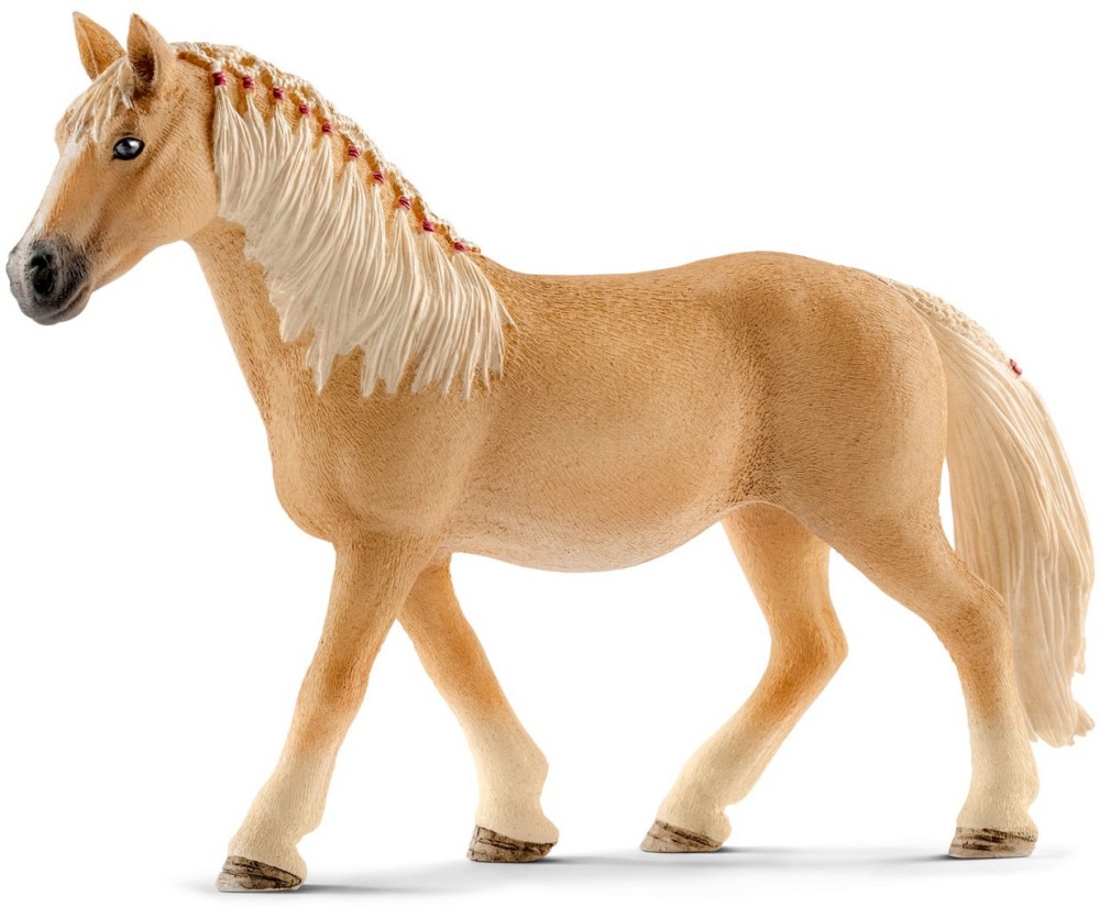   -    Horse Club - 
