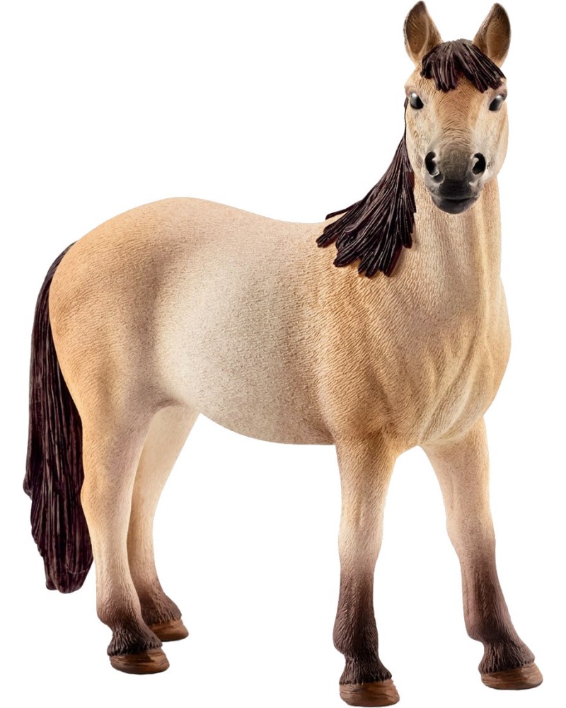     Schleich -      - 