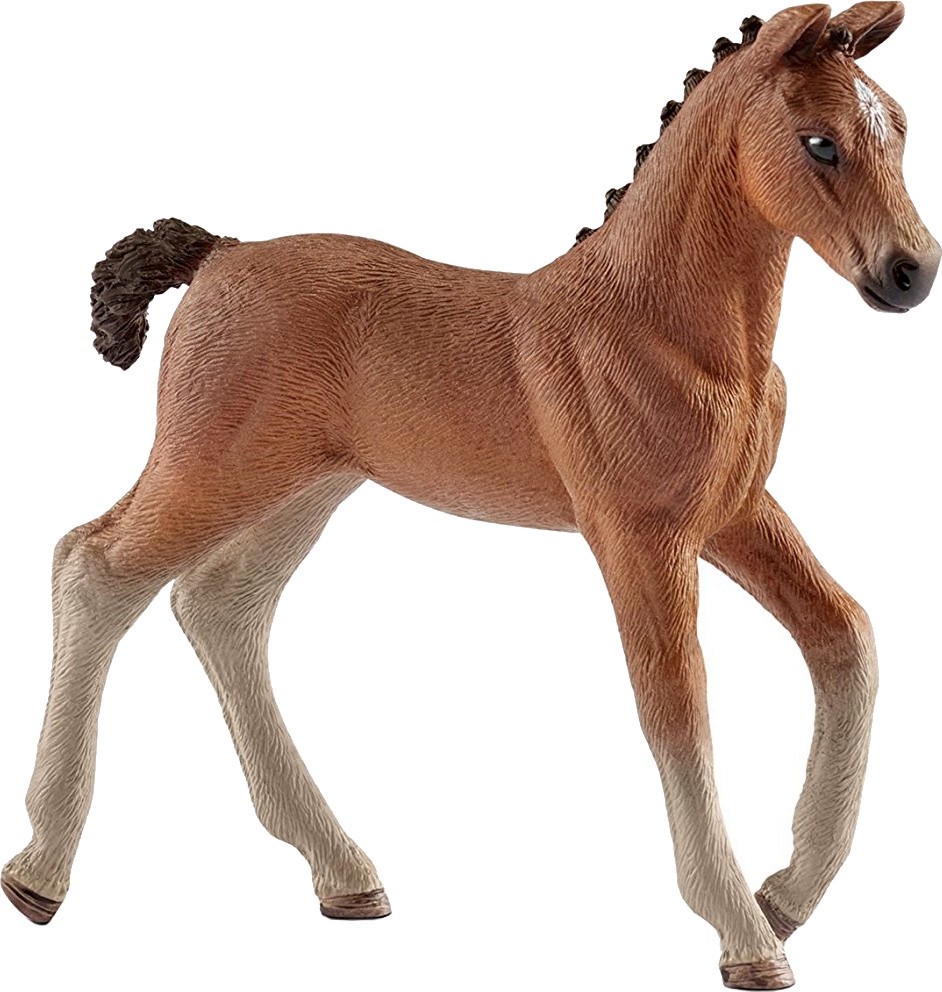   -    Horse Club - 