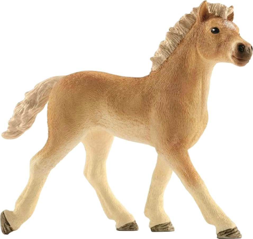 ��������� ����� - ������ �� ������� Horse Club - ������