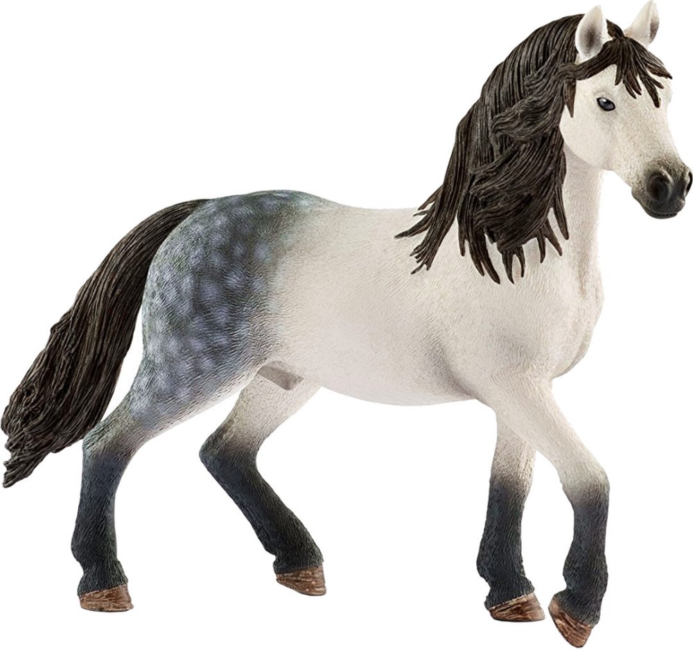   -   Horse Club - 
