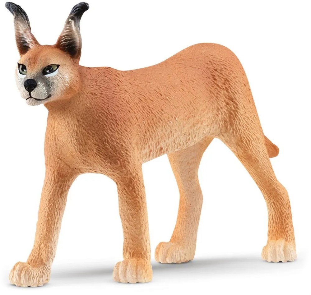     Schleich -   Wild Life - 