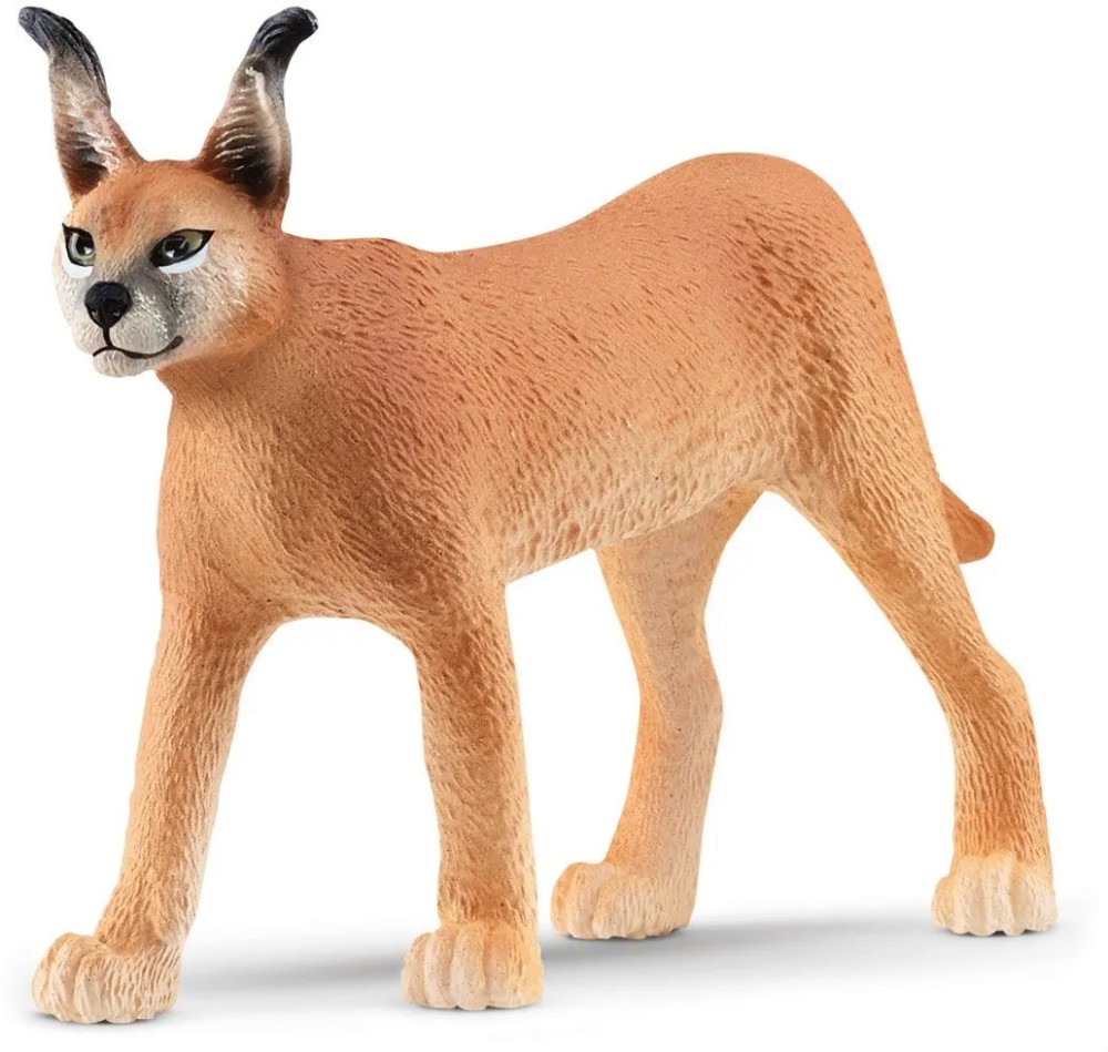     Schleich -       - 