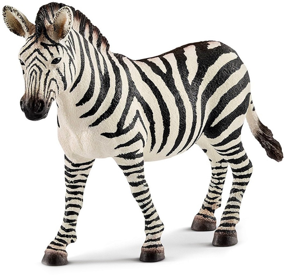     Schleich -   Wild Life - 