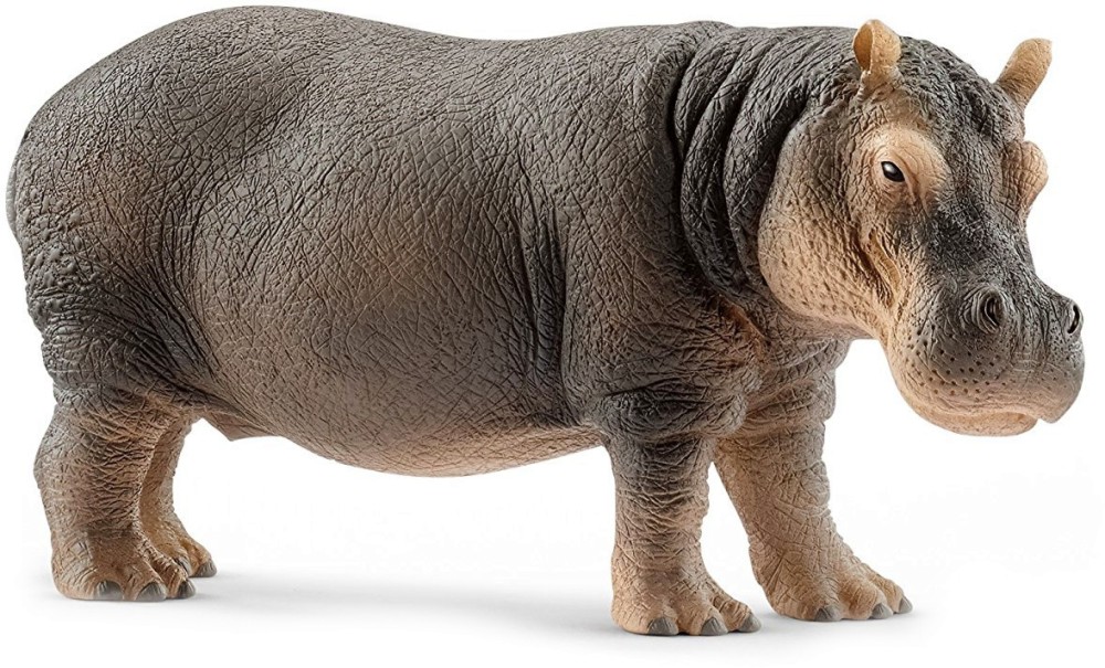    Schleich -   Wild Life - 