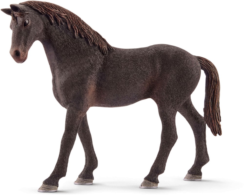    -    Horse Club - 