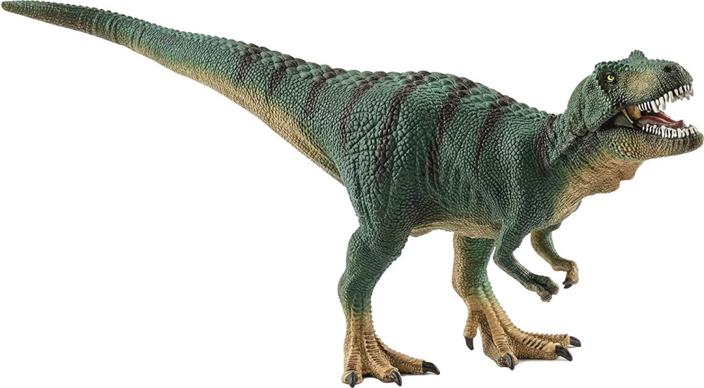  -   -    Dinosaurs - 