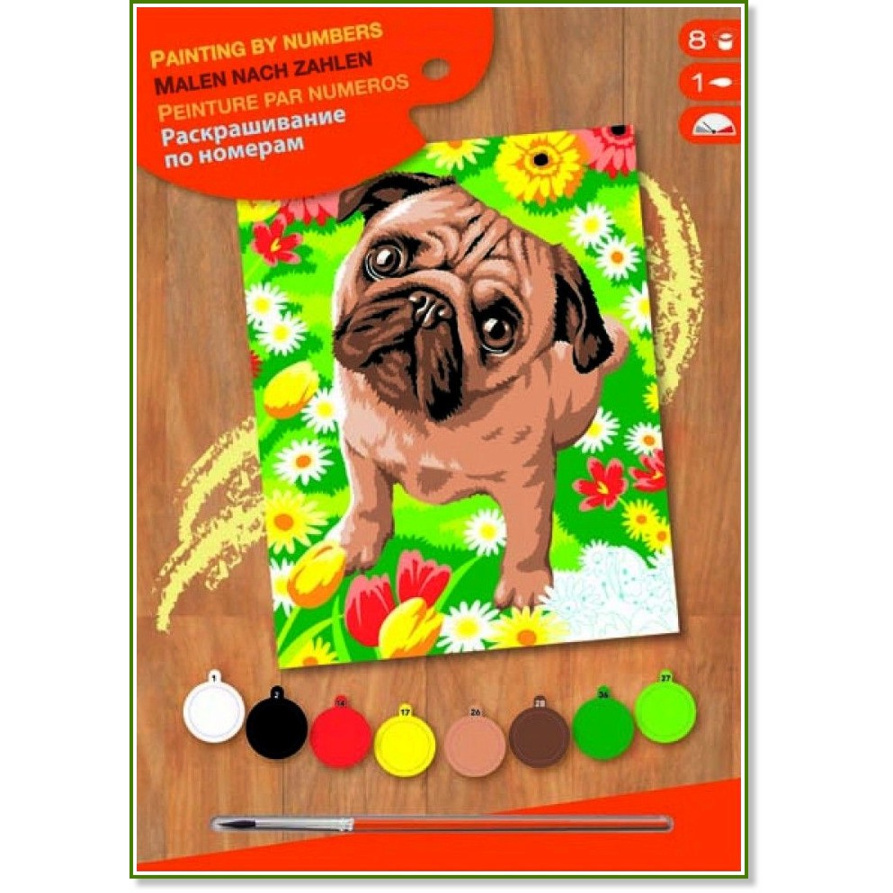 Оцветявай по номера - Мопс - Творчески комплект с акрилни бои - творчески комплект