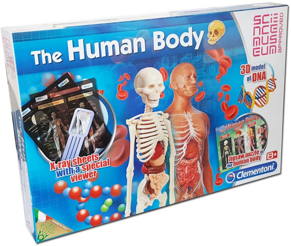 Човешкото тяло Човешкото тяло - Образователен комплект от серията "Clementoni: Science" - играчка