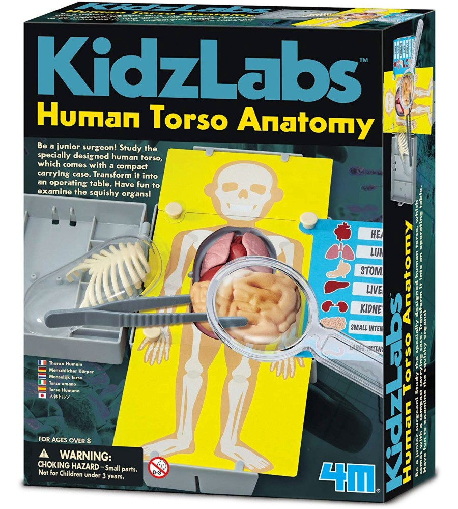     4M -   Kidz Labs -  