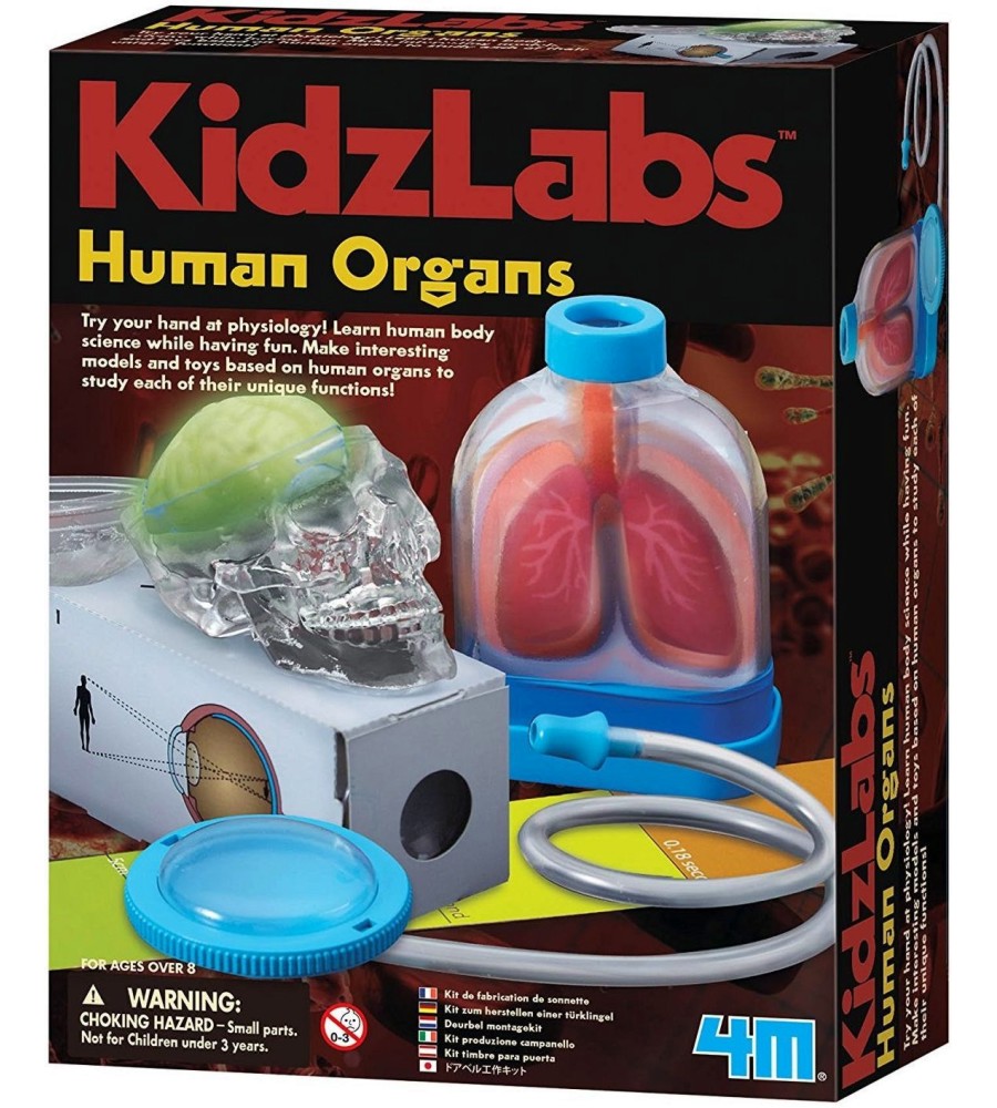   -      "Kidz Labs" -  