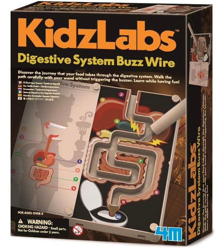      4M -   Kidz Labs -  