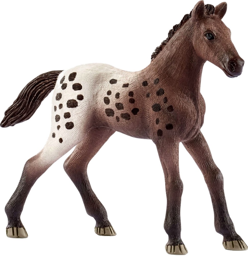   -    Horse Club - 