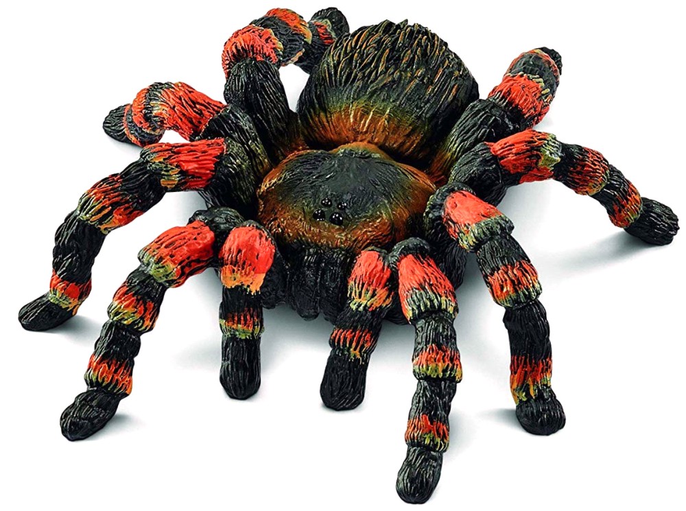     Schleich -   Wild Life - 