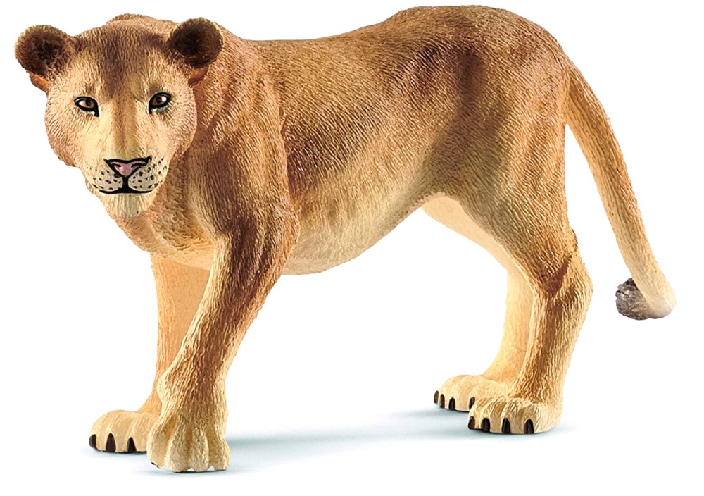    Schleich -   Wild Life - 