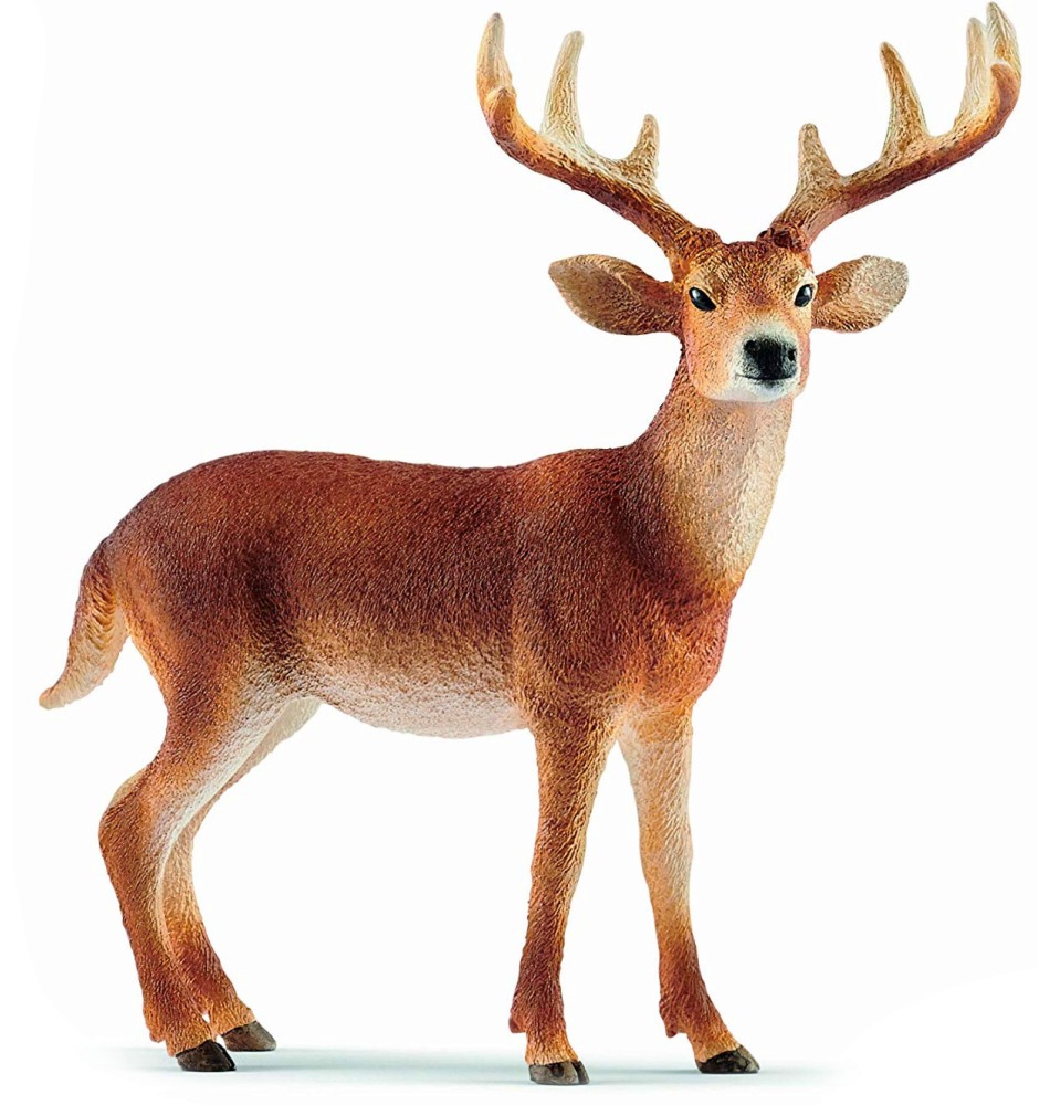 ������� �� ����������� ���������� ���� - Schleich - �� ������� Wild Life - ������