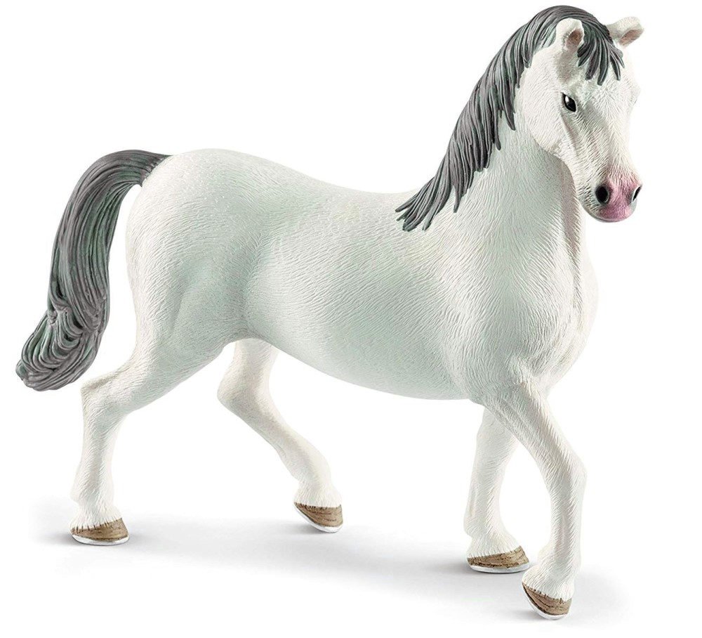   -    Horse Club - 