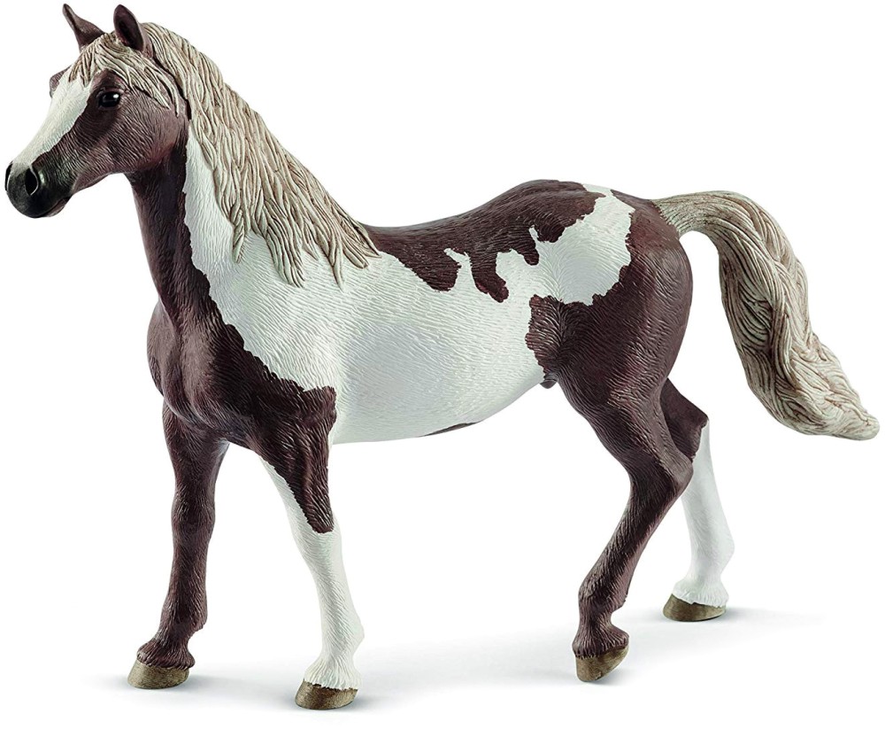   -    Horse Club - 