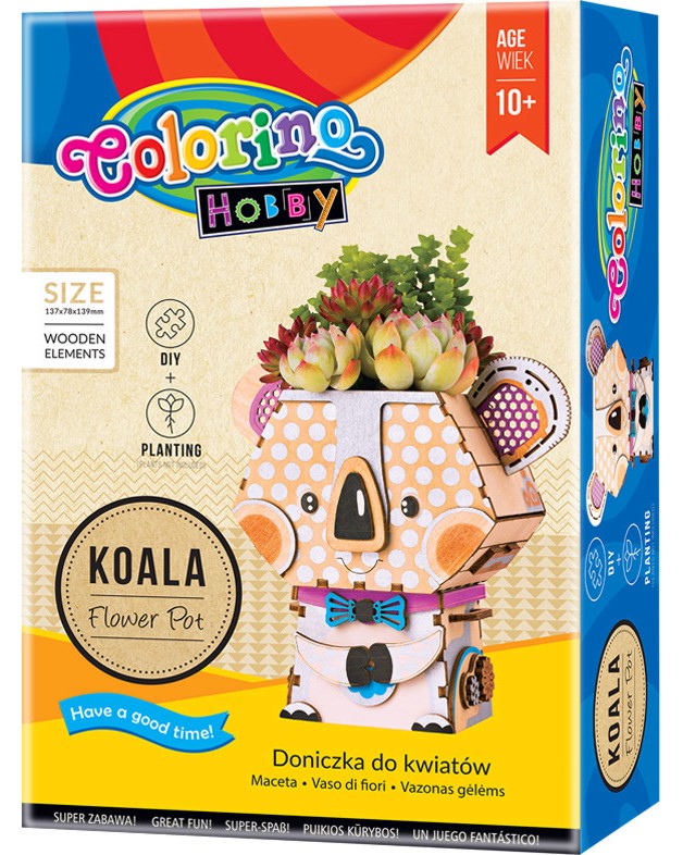      Colorino Kids -  -   Hobby -  