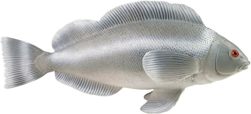 ������� �� �������� ������ - Rappa - ������