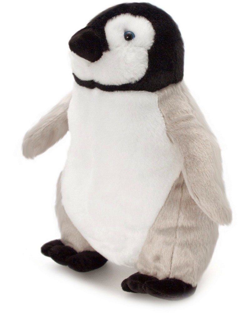     - Keel Toys -   Wild - 