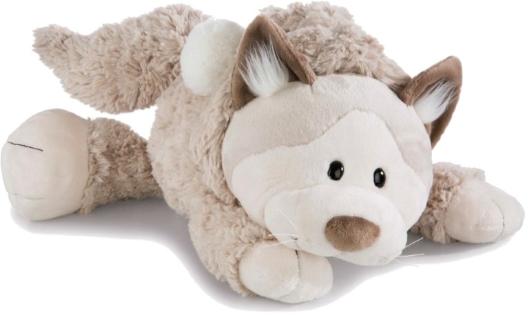 ������� ���� ��� - NICI - �������