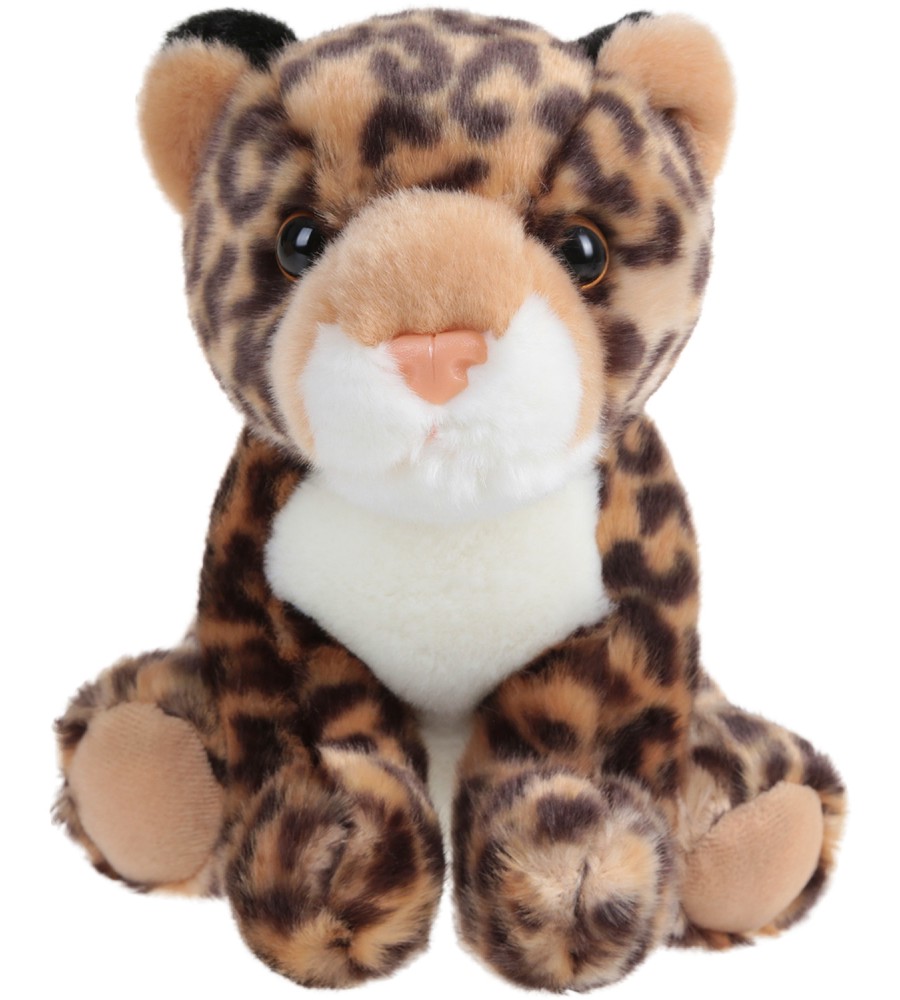 ������ ������� - Aurora - �������