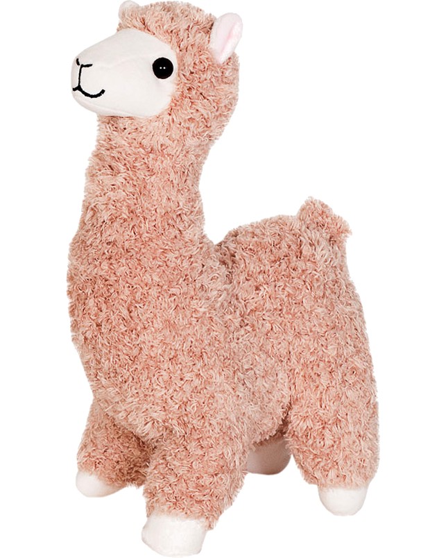 ���� - ������� ������� - �������