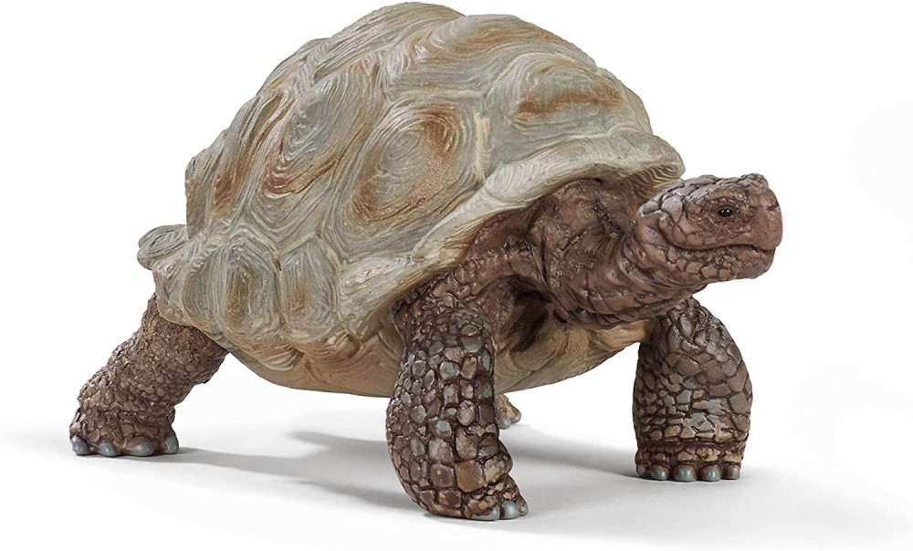    Schleich -   Wild Life - 