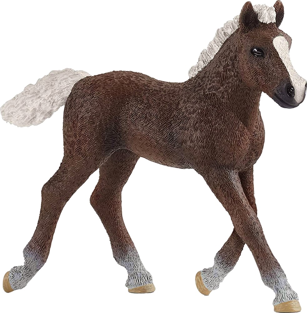      Schleich -      - 