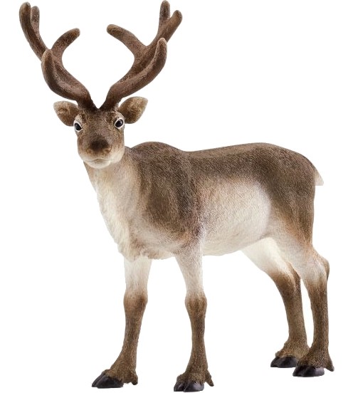     Schleich -   Wild Life - 