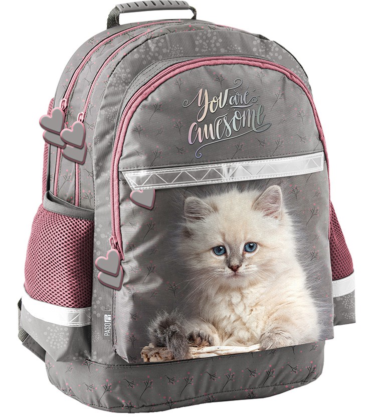   - Paso -   Cat - 