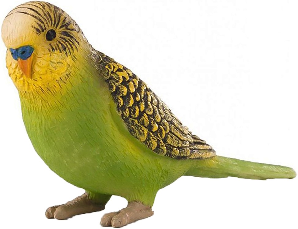 Вълнист папагал - Фигурка от серията "Wildlife" - фигура