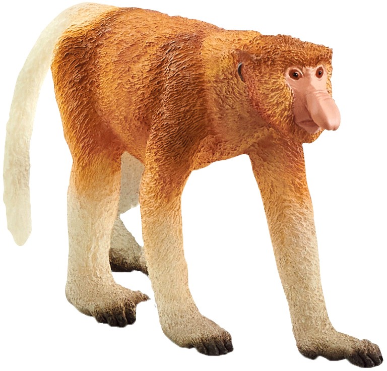    Schleich -   Wild Life - 