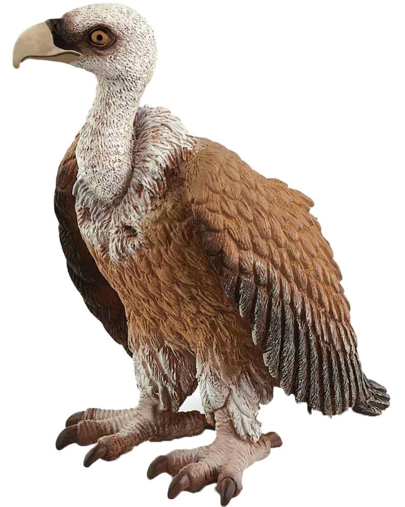    Schleich -   Wild Life - 