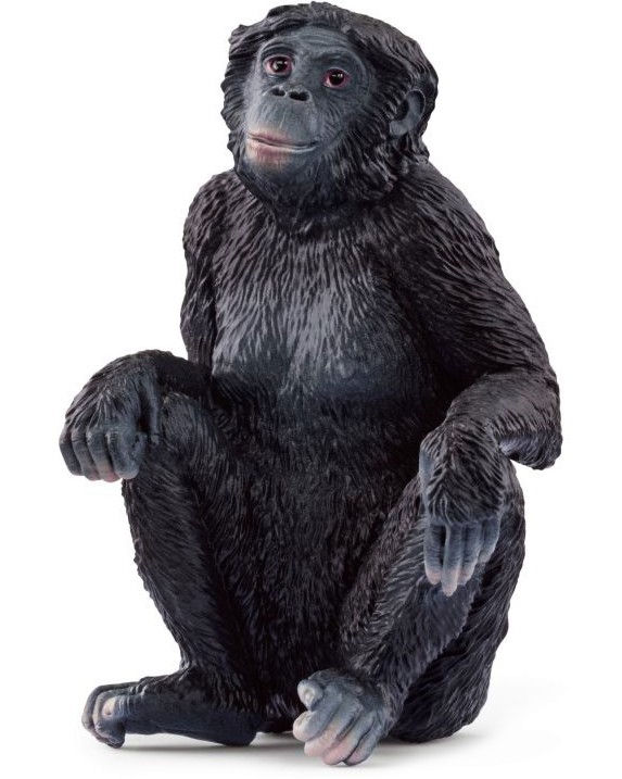     Schleich -   Wild Life - 