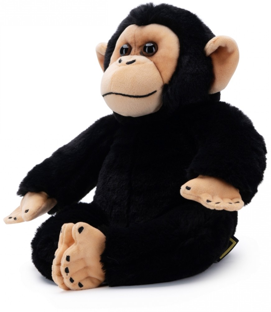   - Simba -   National Geographic - 