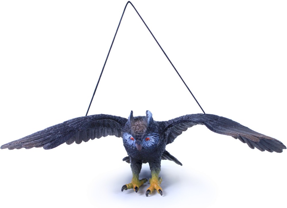 ������� �� ������ ���� - Rappa - ������