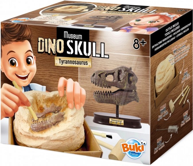     Buki France -  -   Dino Skull -  