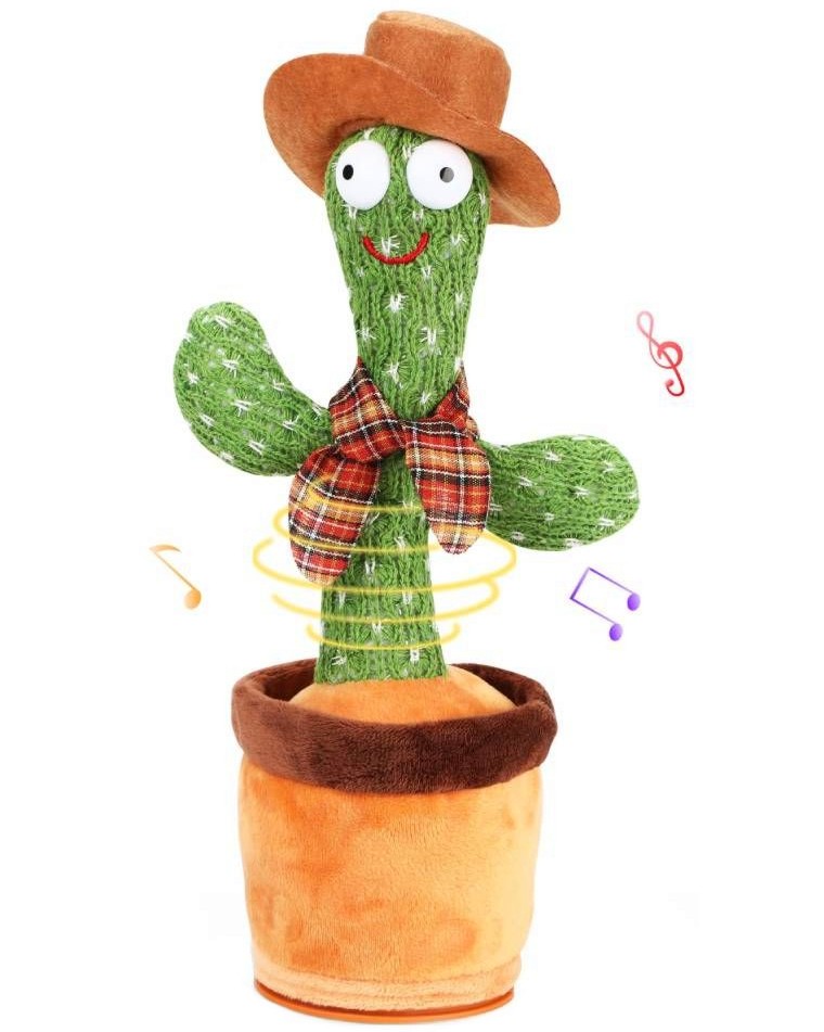 �������� ������ - ������ - ��� ���� � �������� - �������