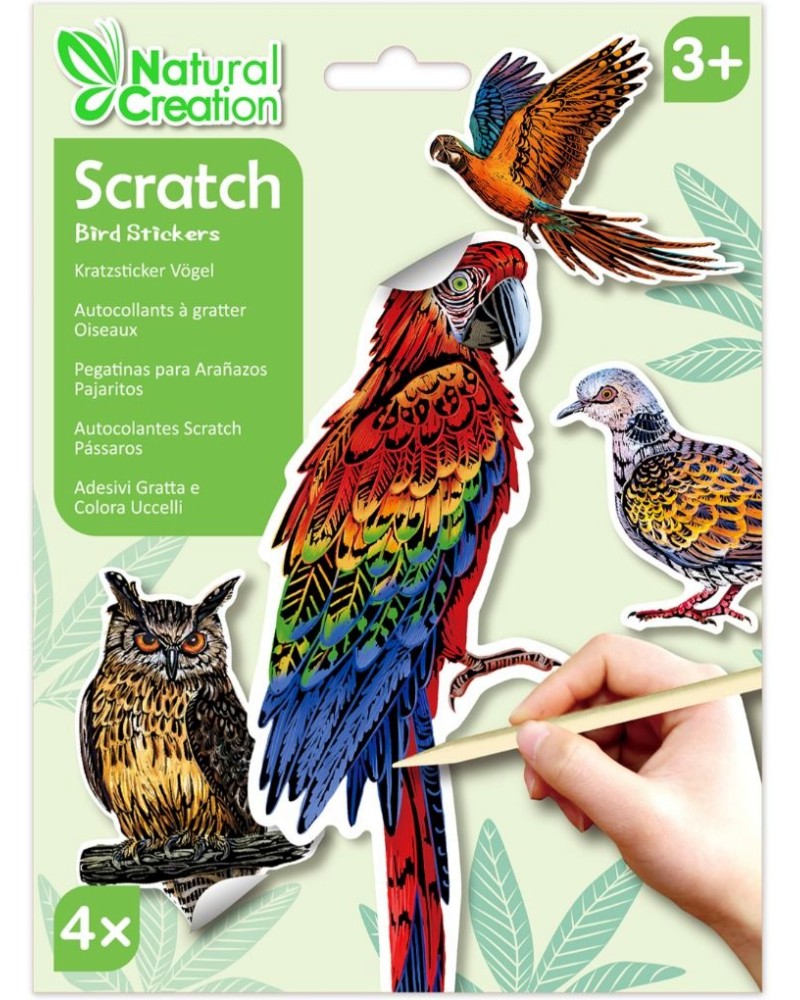 ��������� ��� ����� ������� ����� - Avenir - ��������� �������� �� ������� Natural Creation - ��������� ��������