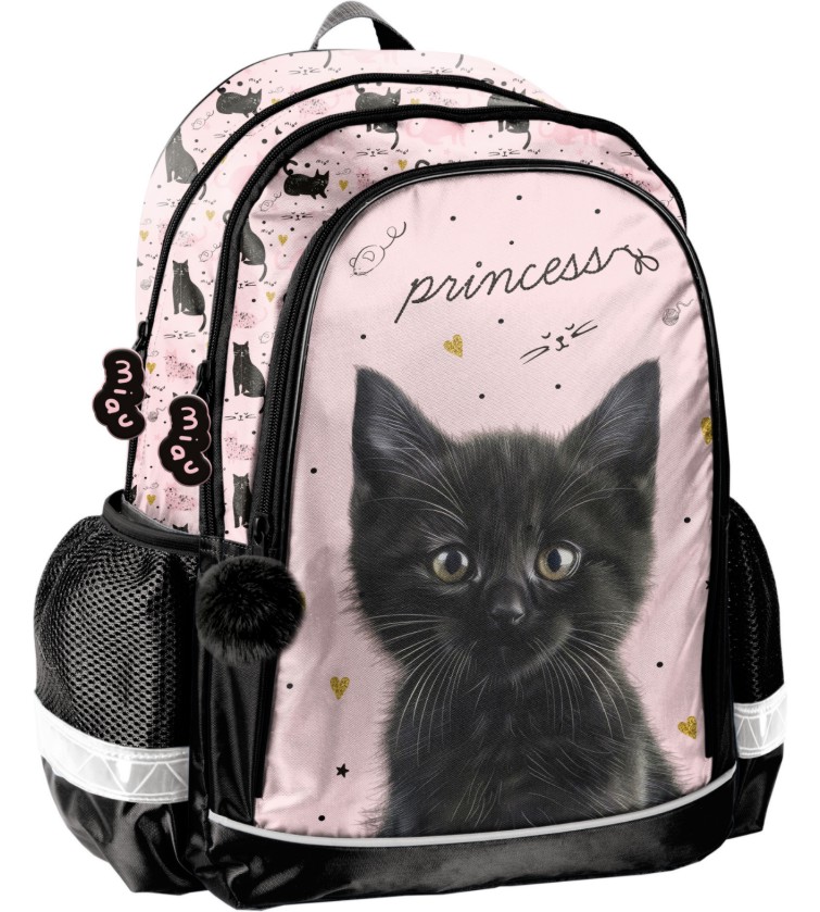 ���������� ������ Paso - �� ������� Black Cat - ������