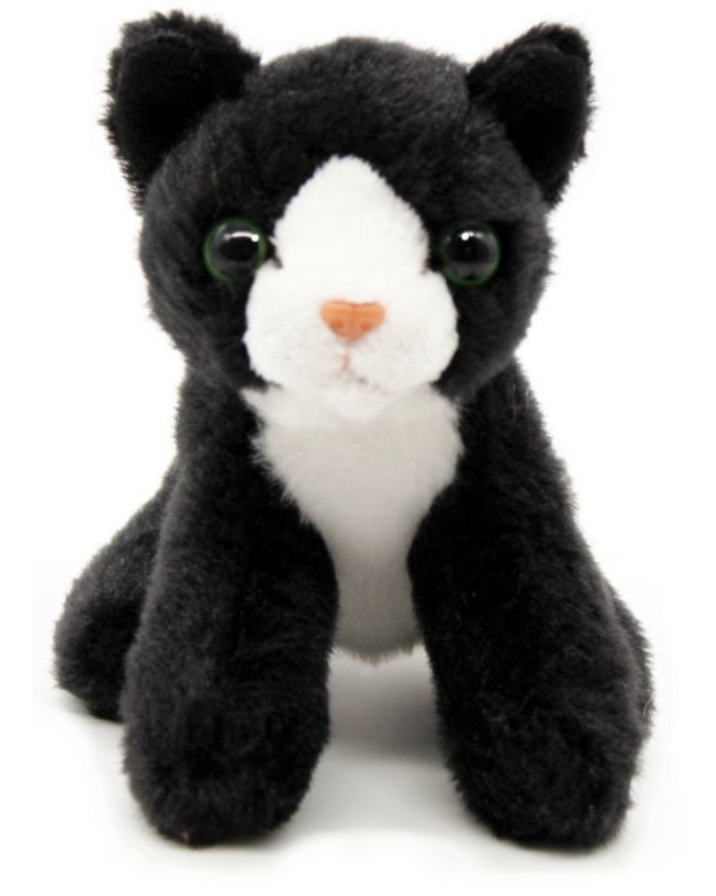   - Beppe -   13 cm - 