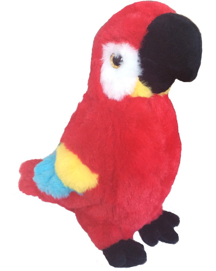   - Beppe -   20 cm - 