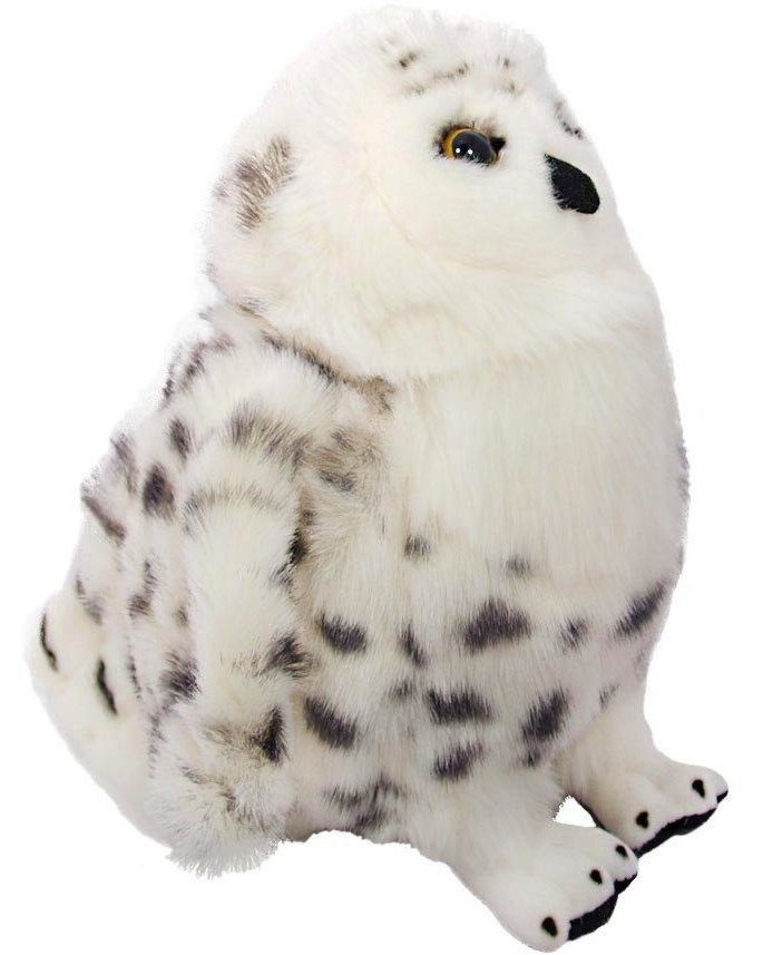   - Beppe -   27 cm - 