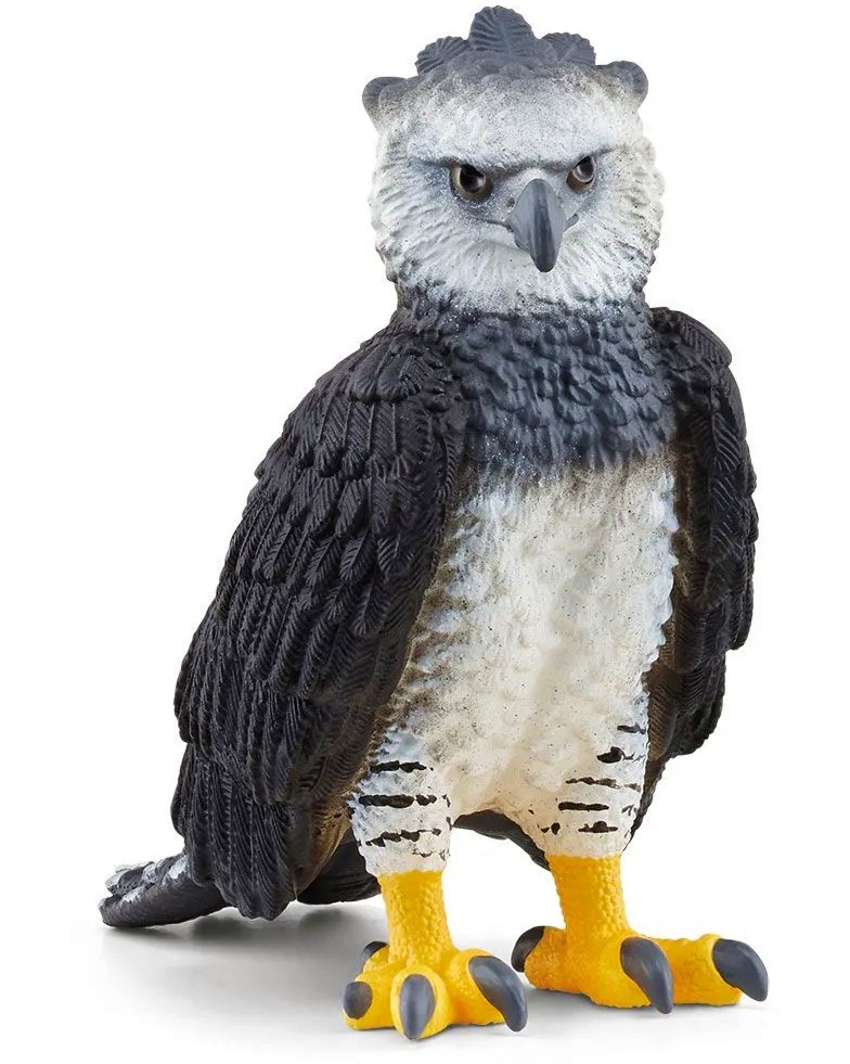     Schleich -   Wild Life - 