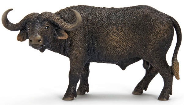 ���������� ����� - ������ �� ������� Wild Life - ������