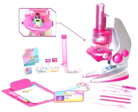 ������ ��������� - �������