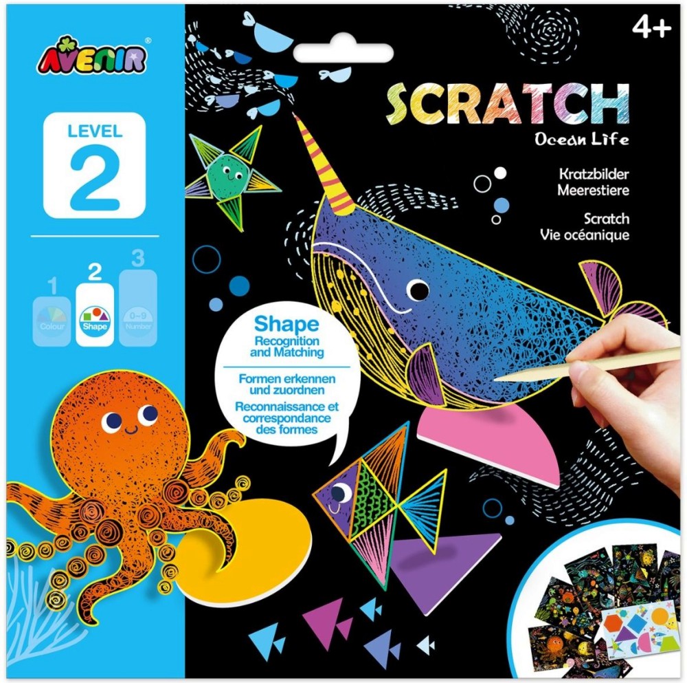 ����� ������� ����� � ����� ���� 2 - Avenir - ��������� �������� "����� ��������" - ��������� ��������