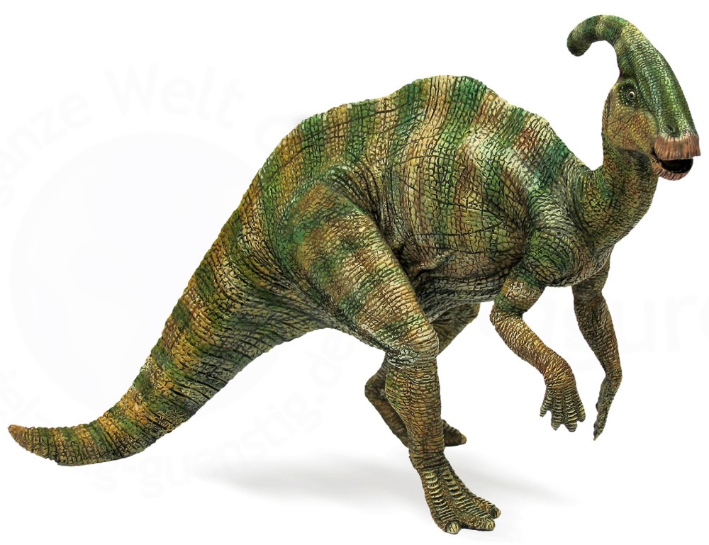 - Parasaurolophus -    "  " - 